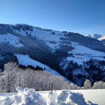 Appartement Grammlergut Maria Alm am Steinernen Meer