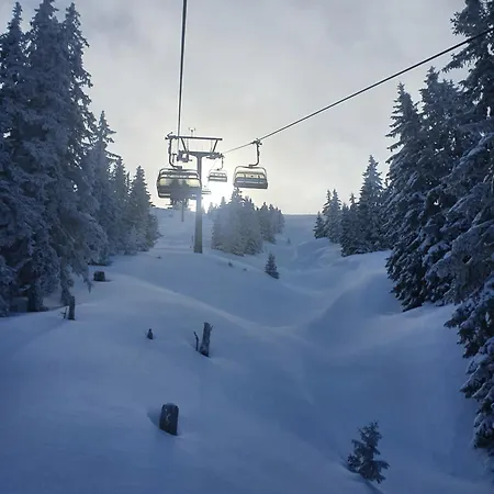 Appartement Grammlergut Maria Alm am Steinernen Meer